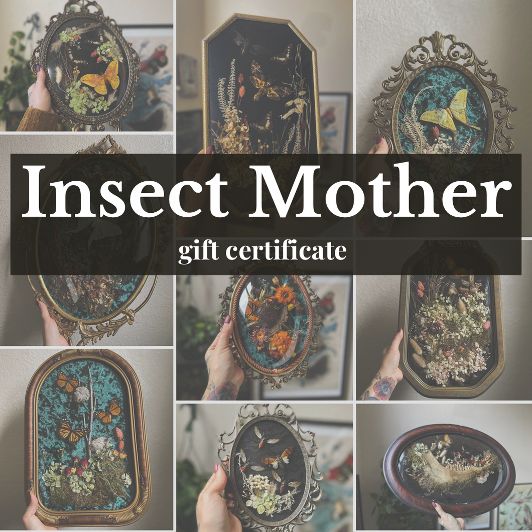 Insect Mother Gift Certificate