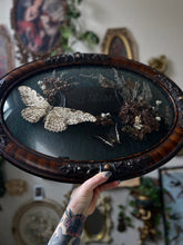 Load image into Gallery viewer, At Rest
