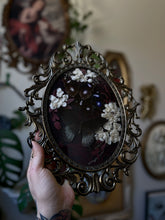 Load image into Gallery viewer, Red Velvet
