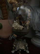 Load image into Gallery viewer, Coralwing

