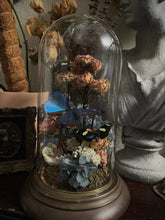 Load image into Gallery viewer, Oceana
