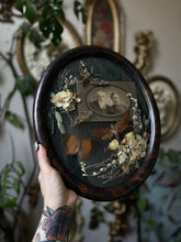 Load image into Gallery viewer, SALE- Civil Serenade
