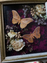 Load image into Gallery viewer, Sensommar
