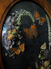 Load image into Gallery viewer, Gardensong
