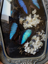 Load image into Gallery viewer, Celine
