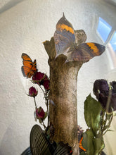 Load image into Gallery viewer, Forest Symphonies- For Elly
