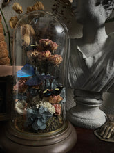 Load image into Gallery viewer, Oceana

