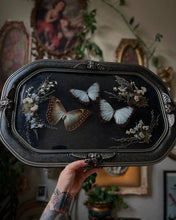 Load image into Gallery viewer, Theseus
