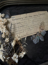 Load image into Gallery viewer, SALE- Ellen O’Callahan

