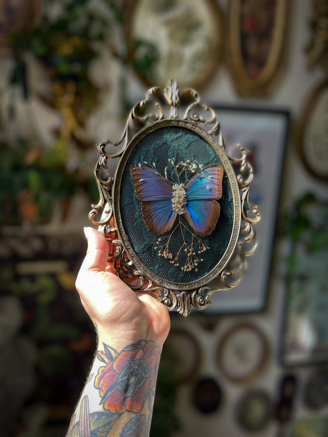 Morpho I