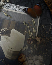 Load image into Gallery viewer, Forgotten Lullaby

