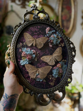 Load image into Gallery viewer, Vasilisa
