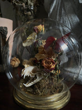 Load image into Gallery viewer, Gardenia
