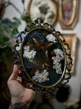 Load image into Gallery viewer, Ascension
