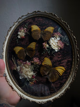 Load image into Gallery viewer, Dwelling
