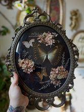 Load image into Gallery viewer, Fawn
