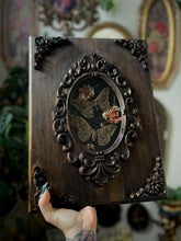 Load image into Gallery viewer, Eudora
