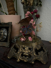 Load image into Gallery viewer, Rosemary
