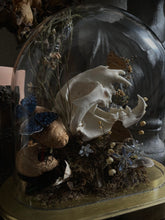 Load image into Gallery viewer, Greenwood
