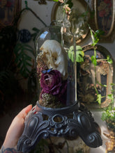 Load image into Gallery viewer, Kostroma

