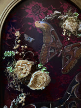 Load image into Gallery viewer, Dance of Cobras
