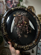 Load image into Gallery viewer, Angeldust
