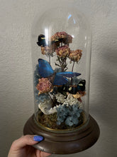 Load image into Gallery viewer, Oceana
