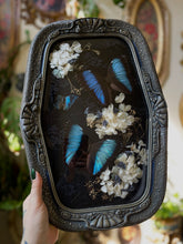 Load image into Gallery viewer, Celine
