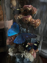 Load image into Gallery viewer, Oceana
