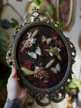 Load image into Gallery viewer, Rusulka

