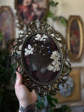 Load image into Gallery viewer, Red Velvet
