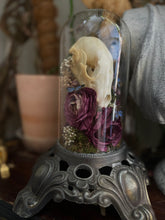 Load image into Gallery viewer, Kostroma
