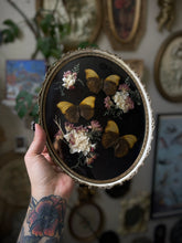 Load image into Gallery viewer, Dwelling
