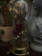 Load image into Gallery viewer, Sphingidae
