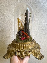 Load image into Gallery viewer, Autumn Equinox
