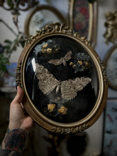 Load image into Gallery viewer, Voidward
