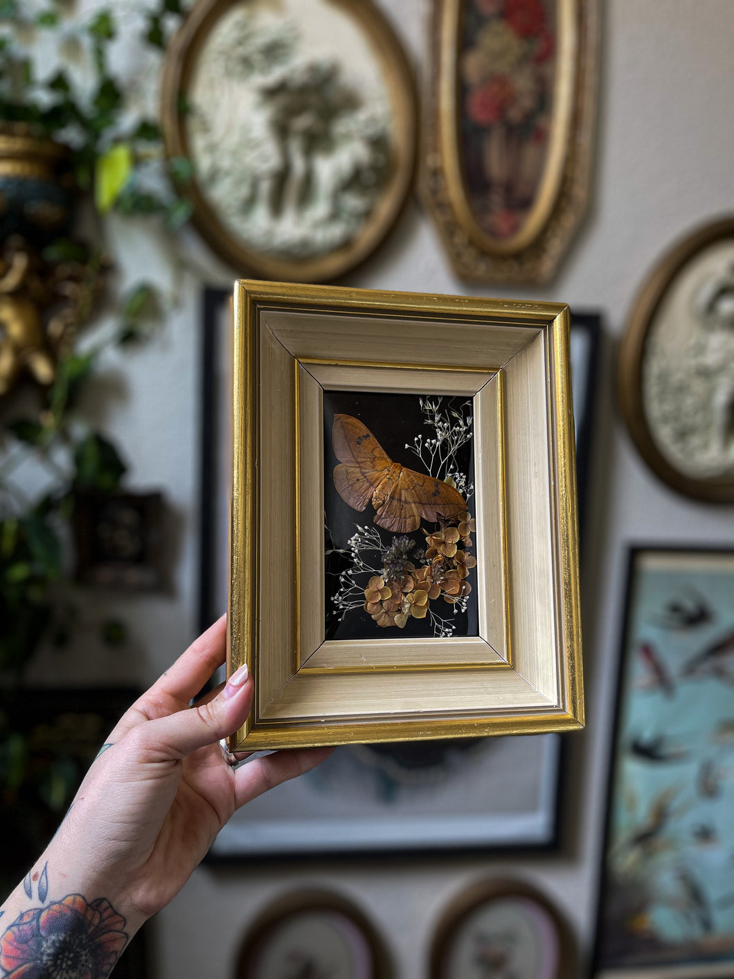 Earth Ochre